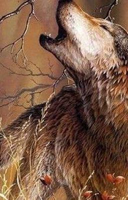 Мои стихи.