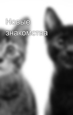 Новые знакомства