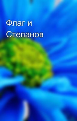 Флаг и Степанов