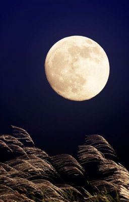 Свет луны.