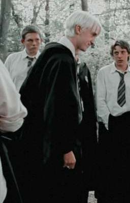 Нас нечего не связывает кроме Володеморта 