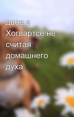 двое в Хогвартсе не считая домашнего духа