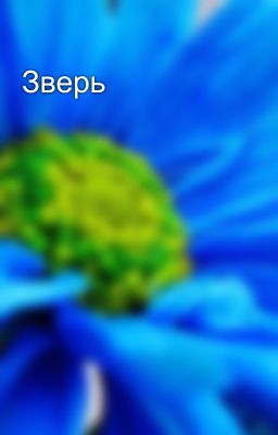 Зверь