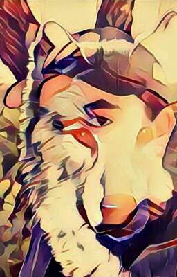 Струны души одинокого волка.Первый сборник стихов Романа Гончаренко.