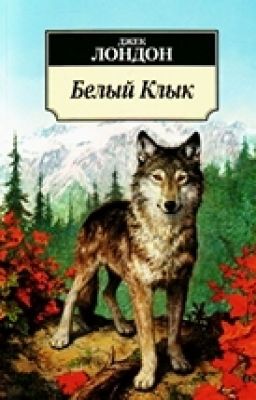 Белый клык