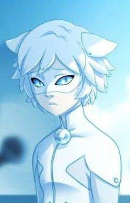 кот блан