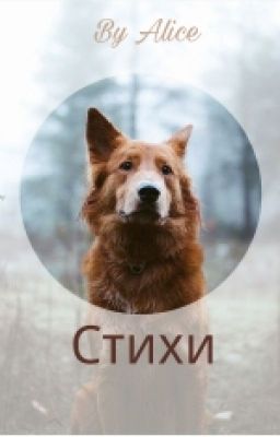 Стихи