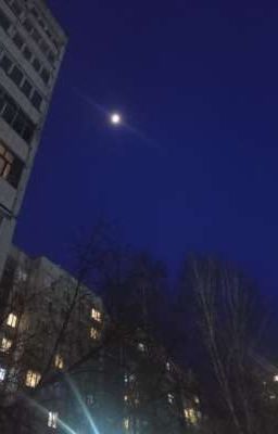тексты песен