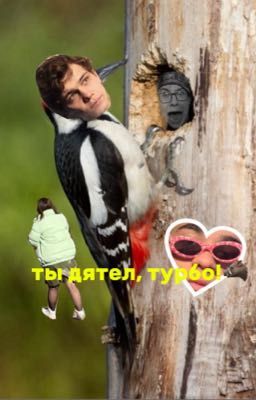 ты дятел, турбо!🐗