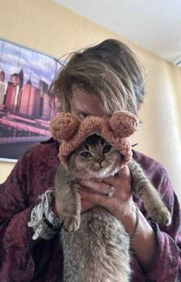 сероволки(⁠・⁠o⁠・⁠)