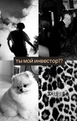ты мой инвестор?? |vlad kuertov|