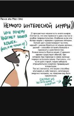Желание Автора