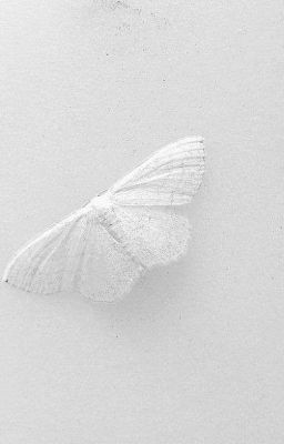 Байка об мотыльке