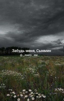 Забудь меня, Сынмин 