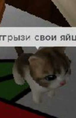 айдана нашла себе халяля 