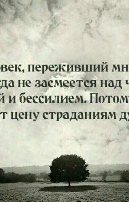 жизнь 