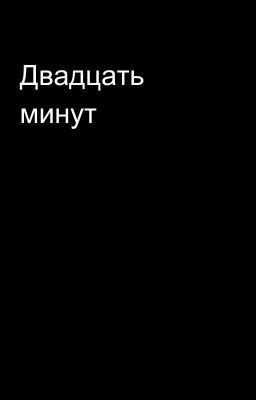 Двадцать минут