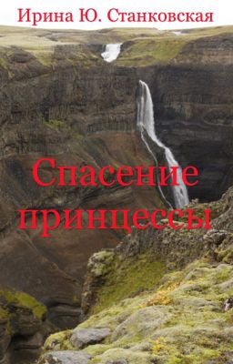 Спасение принцессы