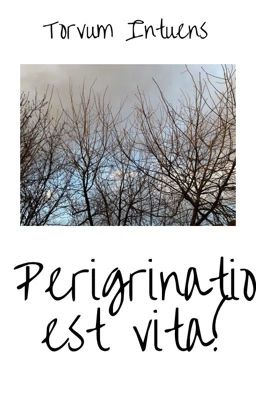 Perigrinatio est vita!