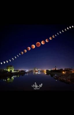 41 человек из Нью джерси