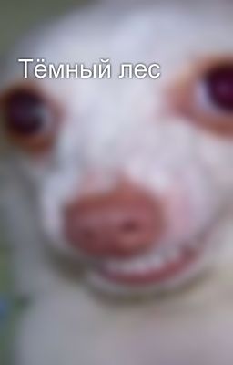 Тёмный лес