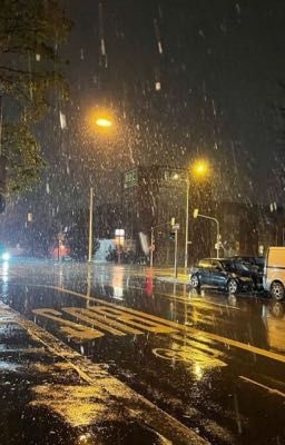 Герои этого города 