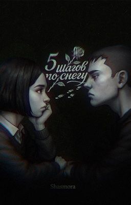 5 шагов по снегу