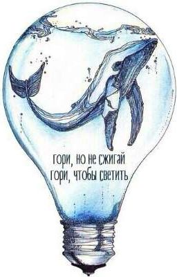 «Хлопья с молоком»