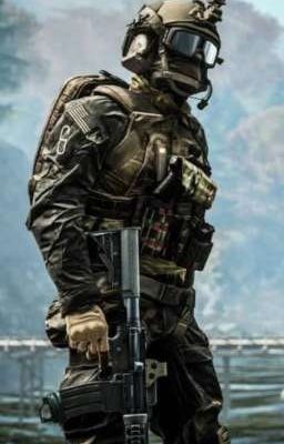 Антипреступная организация