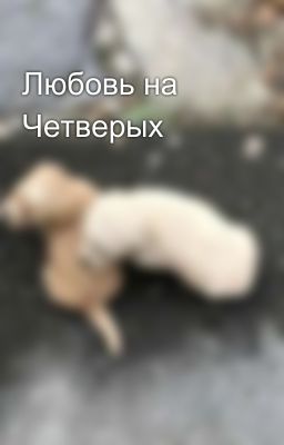 Любовь на Четверых