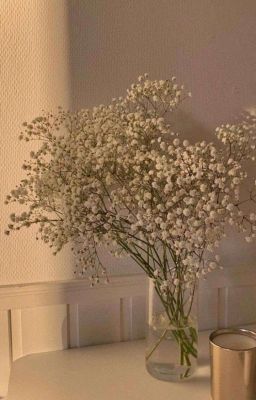 Альтушка и Гопник