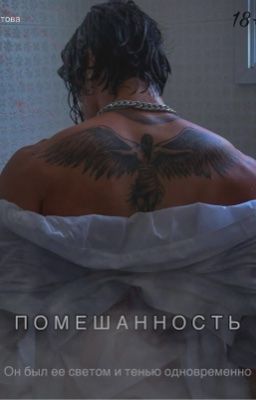 Помешанность