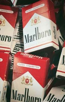 Marlboro для любви (кашенцовы)