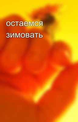 остаемся зимовать