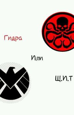 Гидра или .Щ.И.Т?