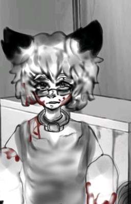 Проблема Рена Ханы