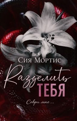 Разделить тебя