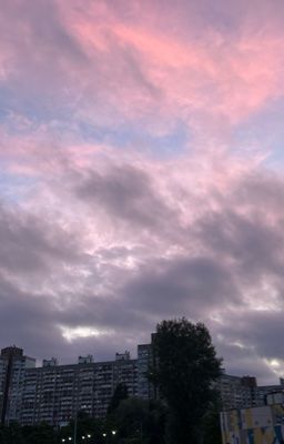«27°»