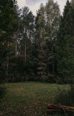 Между пеплом и мороком