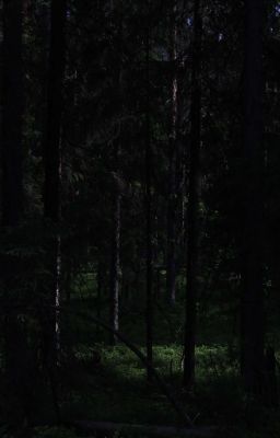 Карельское затишье