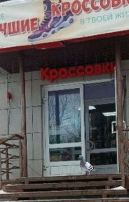 Голубь, который хотел носить кроссовки