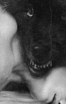 Дерзкая принцесса: "Конец?". #Wattys2023