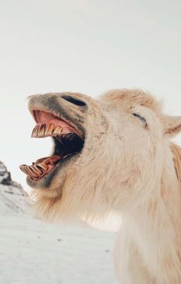 (не)смешно!