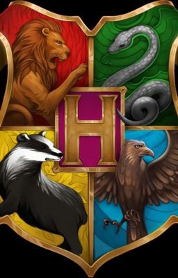 Если бы герои Поттерианы были зарегистрированы в ВК