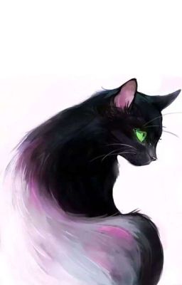 Мой котик