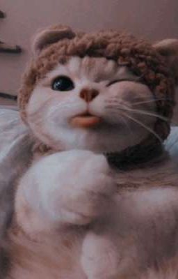 Сводный брат🪐