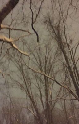 Сотканные из звезд