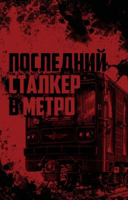 Последний сталкер в метро