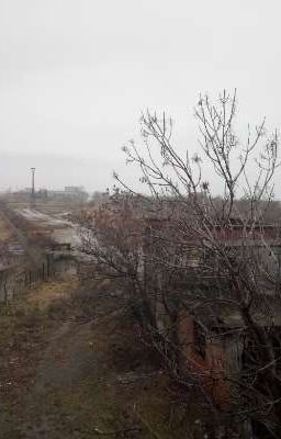 Творец Нового Мира.