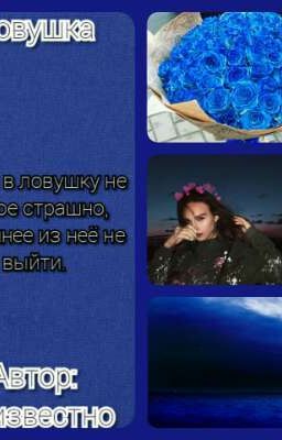 Ловушка.